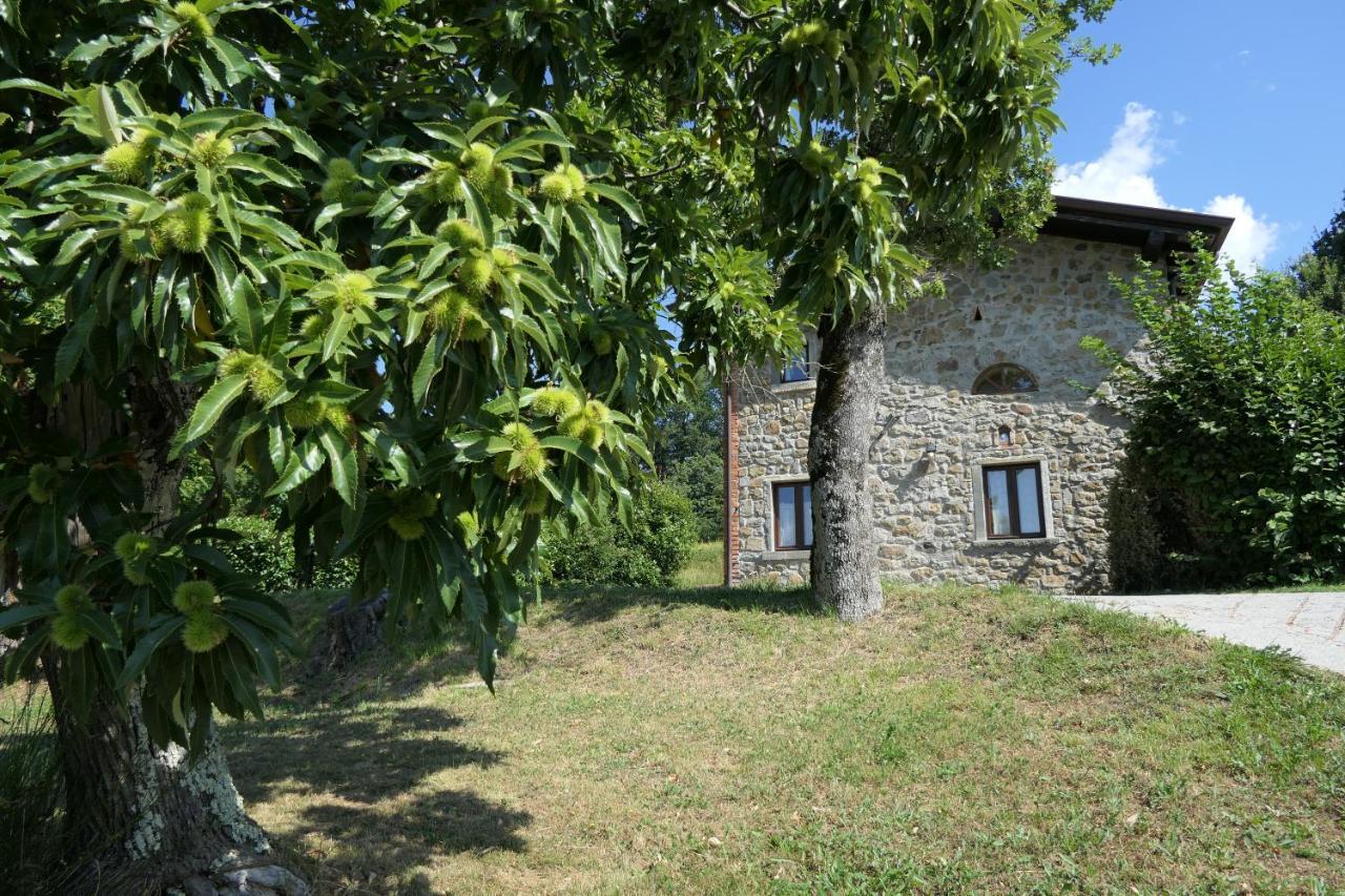Braccicorti Vakantiehuis Pieve Fosciana