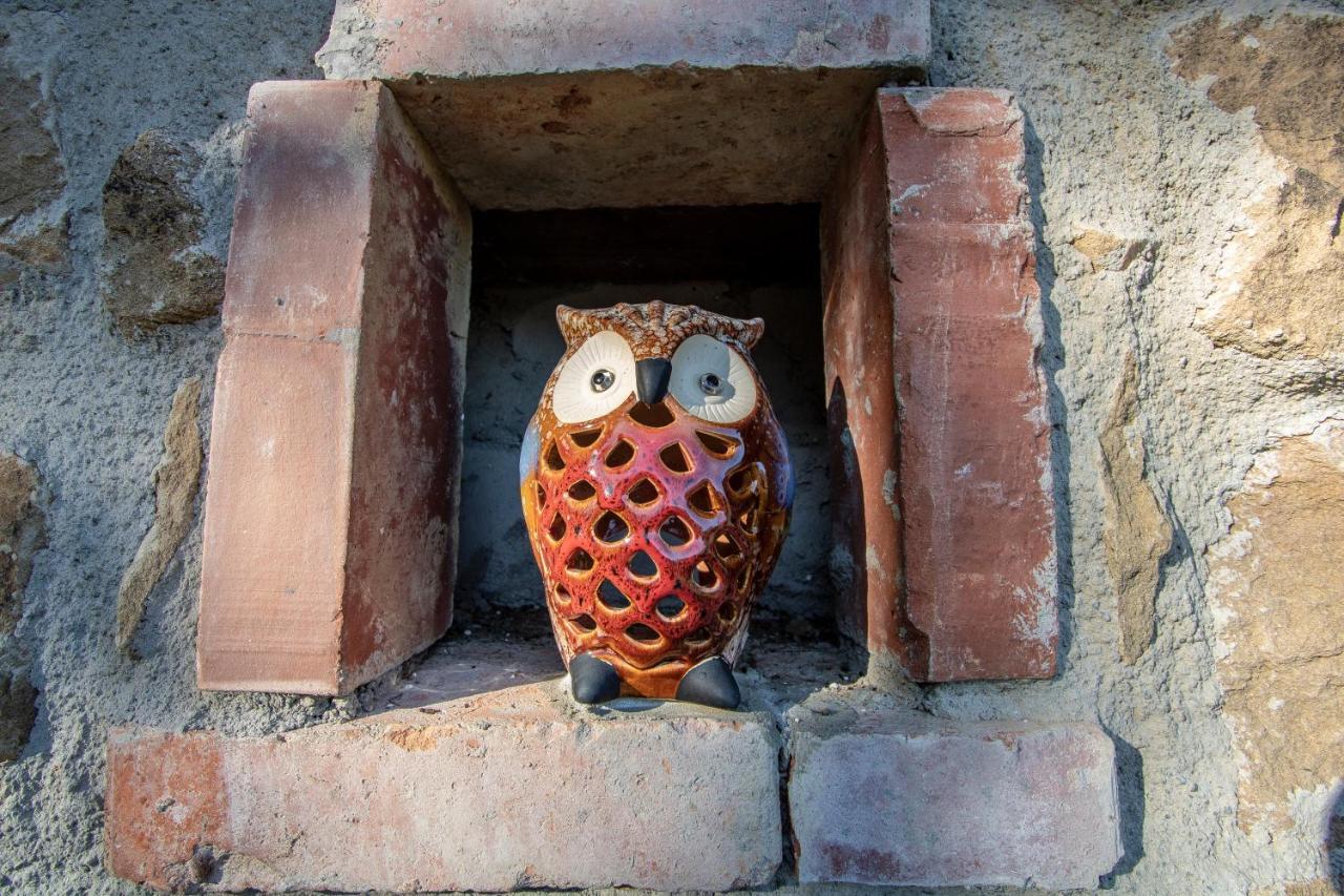 Braccicorti Vakantiehuis Pieve Fosciana